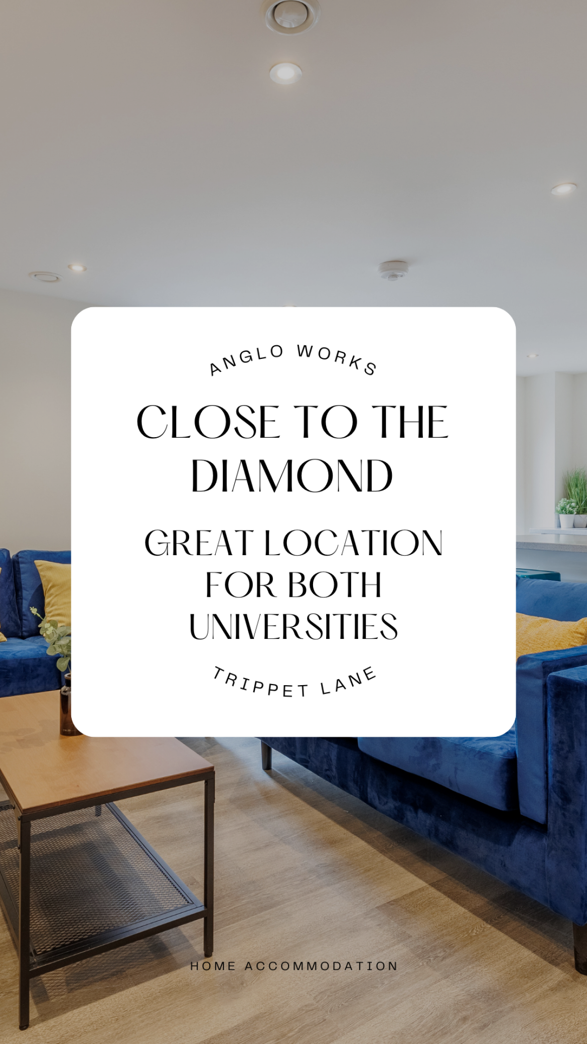Apt 6 Anglo Works Image 20